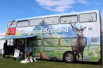 Bus Wild about Scotland. El único sitio dónde podía tener wifi ;)